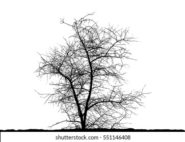 Realistic trees silhouette (Vector illustration).Eps10