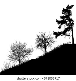 Realistic trees silhouette (Vector illustration).Eps10