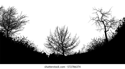 Realistic trees silhouette (Vector illustration).Eps10