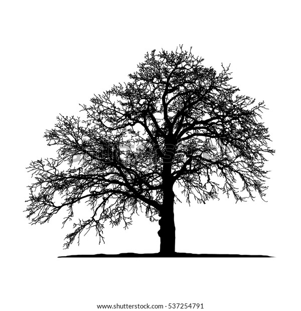 リアリスティックな木のシルエット ベクターイラスト Eps10 のベクター画像素材 ロイヤリティフリー