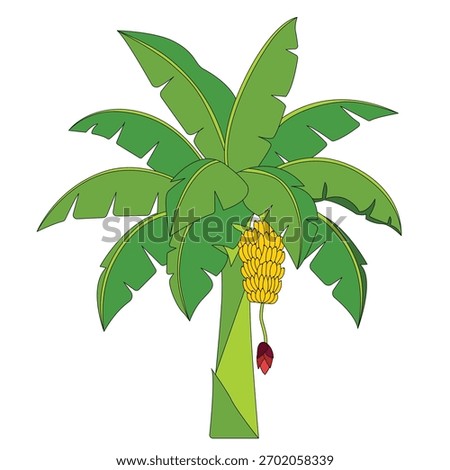 Realistic tropical banana tree vector illustration with green leaves and hanging fruit