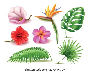 Realistic tropical flowers. Hibiscus and plumeria plants, banana and monstera leaves, 3d jungle isolated exotic flora, hawaiian palm foliage, elements for decor, utter vector botanical set