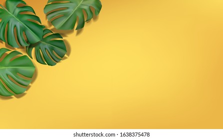 Realistic Tropical leaves Monstera on yellow background. Flat lay, top view