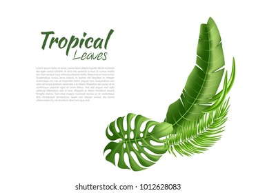 Realistic tropical leaves pattern template Vector 3d jungle forest exotic monstera banana palm leaf floral plant paradise illustration isolated white background. Beach pool party, vacation, travelling