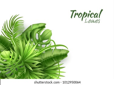 Realistic tropical leaves pattern template Vector 3d jungle forest exotic monstera banana palm leaf floral plant paradise illustration isolated white background. Beach pool party, vacation, travelling