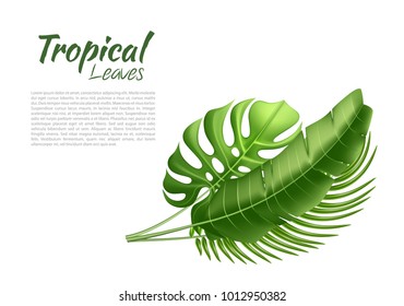 Realistic tropical leaves pattern template Vector 3d jungle forest exotic monstera banana palm leaf floral plant paradise illustration isolated white background. Beach pool party, vacation, travelling
