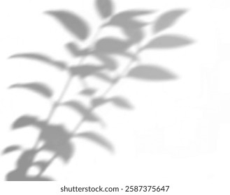 realistic tropical lighting overlay with soft shadows, palm effects, and a natural gradient. Perfect for presentations, posters, wallpapers, branding, and modern artistic designs with a sunny atmosphe