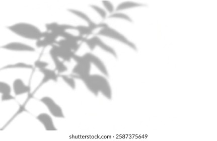 realistic tropical lighting overlay with soft shadows, palm effects, and a natural gradient. Perfect for presentations, posters, wallpapers, branding, and modern artistic designs with a sunny atmosphe