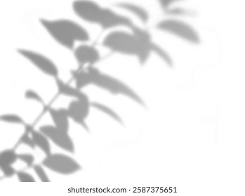 realistic tropical lighting overlay with soft shadows, palm effects, and a natural gradient. Perfect for presentations, posters, wallpapers, branding, and modern artistic designs with a sunny atmosphe