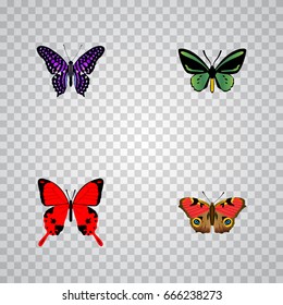 Realistic Tropical Moth, American Painted Lady, Polyommatus Icarus And Other Vector Elements. Set Of Beauty Realistic Symbols Also Includes Purple, Julia, Butterfly Objects.