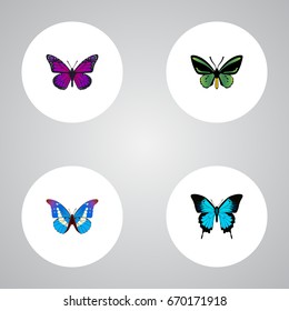 Realistic Tropical Moth, Bluewing, Papilio Ulysses And Other Vector Elements. Set Of Moth Realistic Symbols Also Includes Purple, Butterfly, Green Objects.