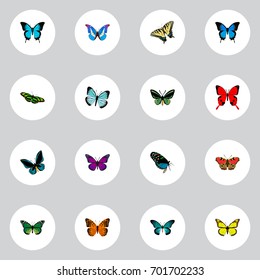 Realistic Tropical Moth, Danaus Plexippus, Purple Monarch And Other Vector Elements. Set Of Butterfly Realistic Symbols Also Includes Swallowtail, Morpho, Tiger Objects.