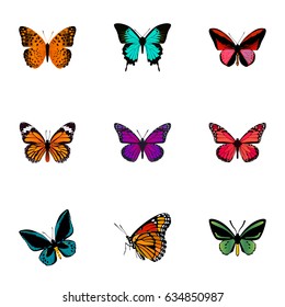 Realistic Tropical Moth, Demophoon, Danaus Plexippus And Other Vector Elements. Set Of Moth Realistic Symbols Also Includes Bluewing, Pink, Cynosura Objects.