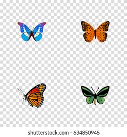 Realistic Tropical Moth, Milkweed, Bluewing And Other Vector Elements. Set Of Beautiful Realistic Symbols Also Includes Monarch, Bluewing, Morpho Objects.