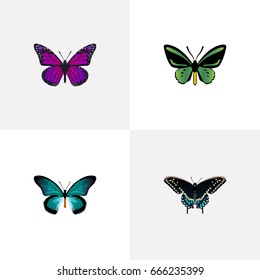 Realistic Tropical Moth, Morpho Hecuba, Pipevine And Other Vector Elements. Set Of Beauty Realistic Symbols Also Includes Bluewing, Butterfly, Purple Objects.