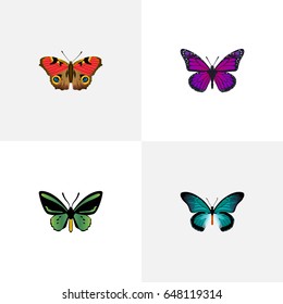 Realistic Tropical Moth, Pipevine, American Painted Lady And Other Vector Elements. Set Of Beauty Realistic Symbols Also Includes Blue, Butterfly, Bluewing Objects.