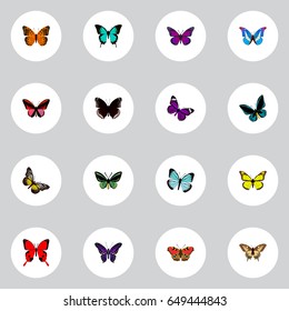 Realistic Tropical Moth, Tiger Swallowtail, Purple Monarch And Other Vector Elements. Set Of Beauty Realistic Symbols Also Includes Morpho, American, Green Objects.