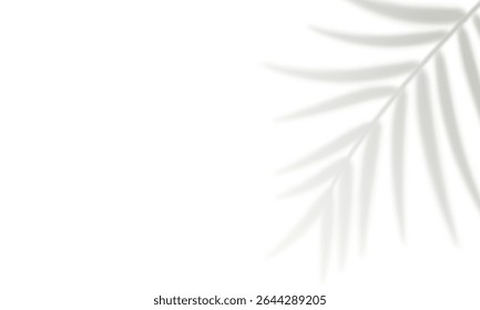 Realistic tropical palm leaf shadow isolated on white background. Gray blurred palm branch shadows. Decorative design element for summer banner, flyer, poster. Overlay effect. Vector illustration