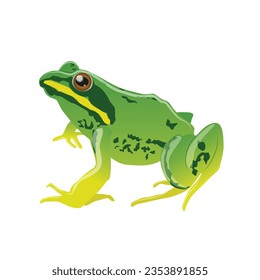 realistic tropical spotted sitting green rain frog