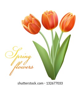 realistic tulips