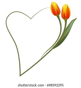 Realistic tulips, fire coloring, romantic frame.