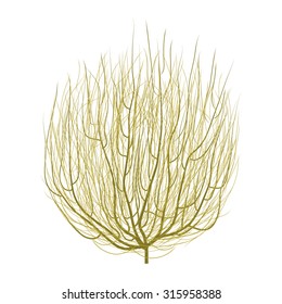 realistic tumbleweed 