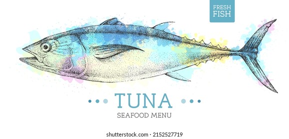 Realistic Tuna fish vector illustration on artistic watercolor background. Seafood menu design