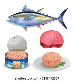 Realistisches Thunfisch-Icon-Set aus gegartem Steak-Rohfleisch und konservierte Vektorgrafik