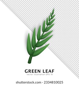 Realistic twig with green leaves isolated on transparent background. Design element with 3d tree branch clip art. Vector illustration with herbs, foliage