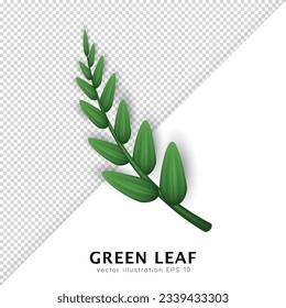 Realistic twig with green leaves isolated on transparent background. Design element with 3d tree branch clip art. Vector illustration with herbs, foliage