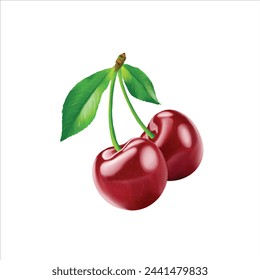 Realistic two cherry fruit hand drawing graphic on nature , food and drink style