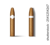 Realistic two cigars with blank labels for branding isolated on a white background in 3d vector clipart illustration, symbolizing elegance and tradition, for tobacco products designs.