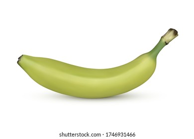 Realistic unripe banana isolated on white background. Vector illustration