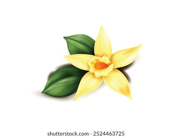 Realistic Vanilla Flower with Leaves Vector. Decorated vanilla. Vanilla for cakes, beverages. Vanilla flower. Flower with Leaves Vector Illustration | Decoration for Cakes