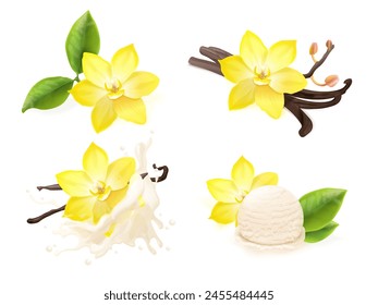 Realistic vanilla flowers. Vanil flower plant pod beans with milk splash, spice dessert sugar extract cream flavour tasty sweets aroma perfume taste food exact vector illustration of vanilla organic