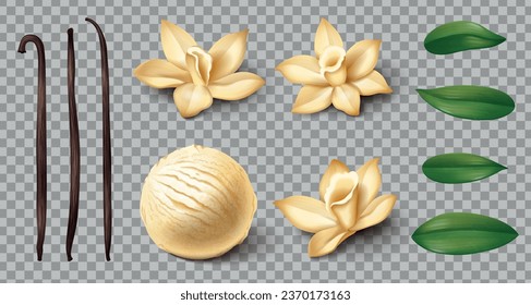 Realistic vanilla icons set with spice sticks flowers and ice cream scoop on transparent background vector illustration