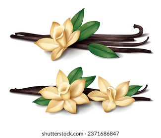 Realistic vanilla set with spice sticks and orchid flowers vector illustration