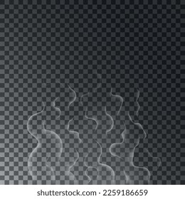 Realistic vapor effects from heated tea, coffee, food, hookah. Vector icon of steam and fog isolated on transarent background