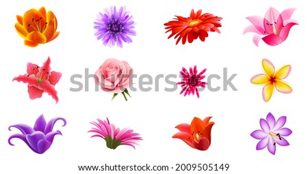Realistic various colorful flower set vector illustration. Set of 12 flowers