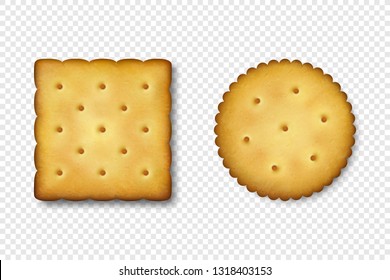 Realistic Vector 3d Round And Square Delicious Salty Cookies Rustic, Cracker, Biscuit Icon Set Closeup Isolated On White Background. Design Template Of Sweet Cookie, Yummy Crackers, Breakfast Snack