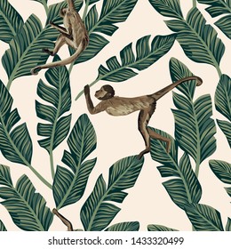 Realistic vector animals monkey keep in hand green banana leaves seamless pattern white background. Tropical illustrstion, trendy wallpaper.