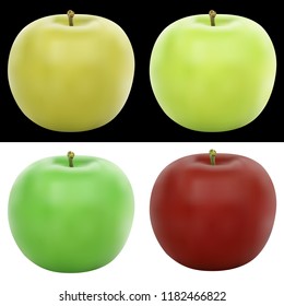 Realistic vector apple illustration in 4 colors, on black and white isolated background, eps 10.