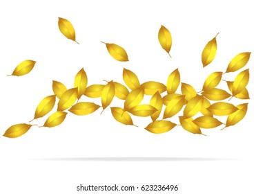 realistic vector autumn leaves isolated on white background
