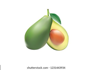  Realistic Vector Avocado