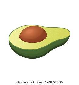 Realistic vector avocado illustration. Half of avocado on a white background.