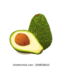 Ilustración de aguacates vectoriales realistas. Vocado entero y cortado aislado en fondo blanco.