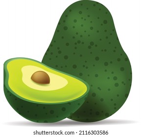 Ilustración de aguacates vectoriales realistas. Vocado entero y cortado aislado en fondo blanco.