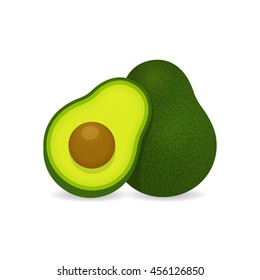 Realistic vector avocados illustration. Whole and cut avocado isolated on white background.