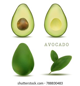 realistic vector avocados illustration. Whole and cut avocado isolated on white background. bright vector set of colorful half, slice and whole of fresh avocado.