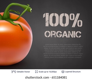 Realistic vector background easy to edit. Cuisine vegetable ingredient.